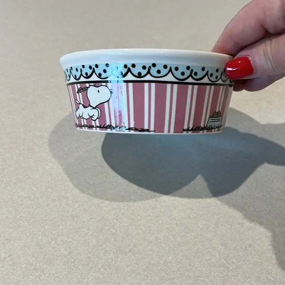 Gibson Snoopy Peanuts Dog Bowl - Picture 4 of 5